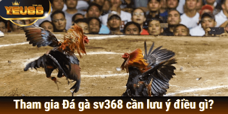 Đá gà sv368 tại yeu88