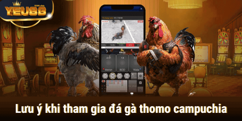 đá gà thomo campuchia tại yeu88